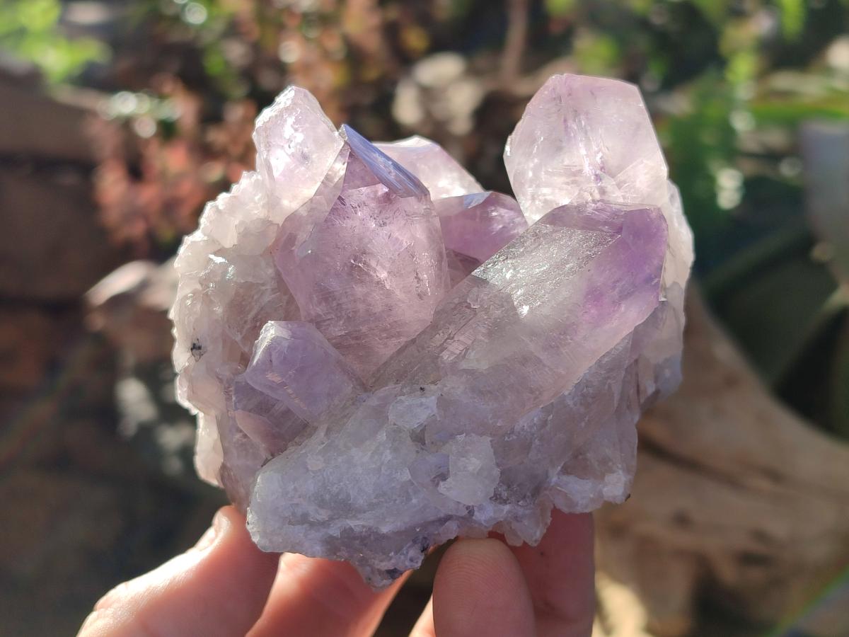 Natural Jacaranda Amethyst Clusters x 6 From Mumbwa, Zambia - Toprock Gemstones and Minerals 
