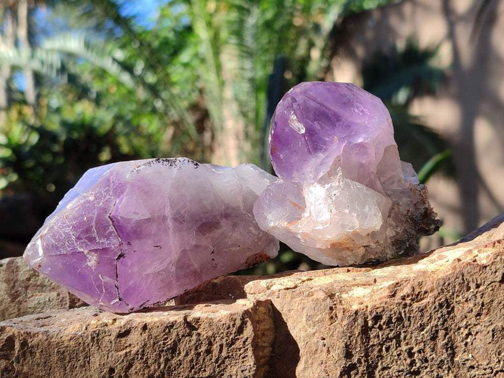 Natural Jacaranda Amethyst Clusters x 6 From Mumbwa, Zambia - Toprock Gemstones and Minerals 