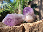 Natural Jacaranda Amethyst Clusters x 6 From Mumbwa, Zambia - Toprock Gemstones and Minerals 