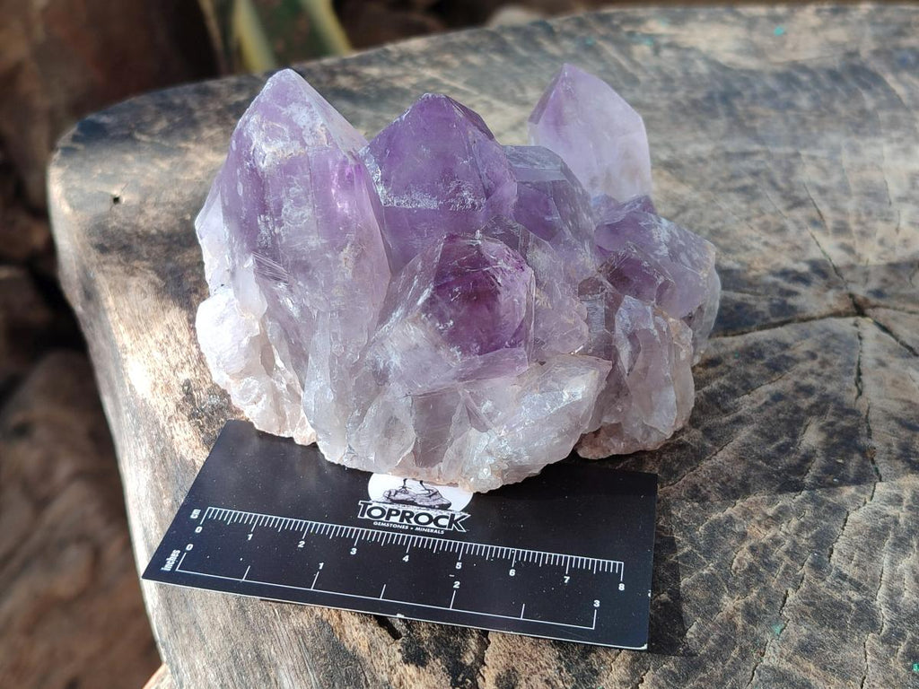 Natural Jacaranda Amethyst Clusters x 6 From Mumbwa, Zambia - Toprock Gemstones and Minerals 