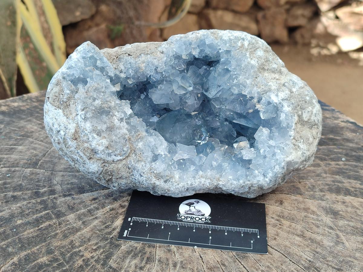 Natural Large Blue Celestite Geode Specimen x 1 From Sakoany, Madagascar