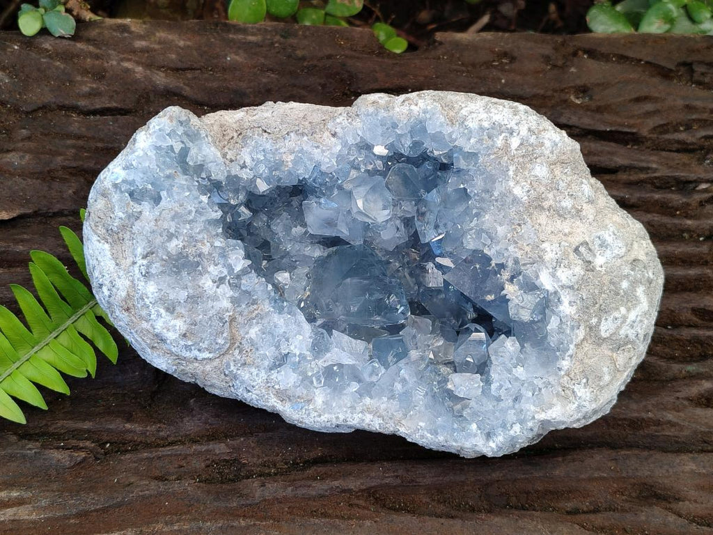 Natural Large Blue Celestite Geode Specimen x 1 From Sakoany, Madagascar