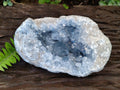 Natural Large Blue Celestite Geode Specimen x 1 From Sakoany, Madagascar