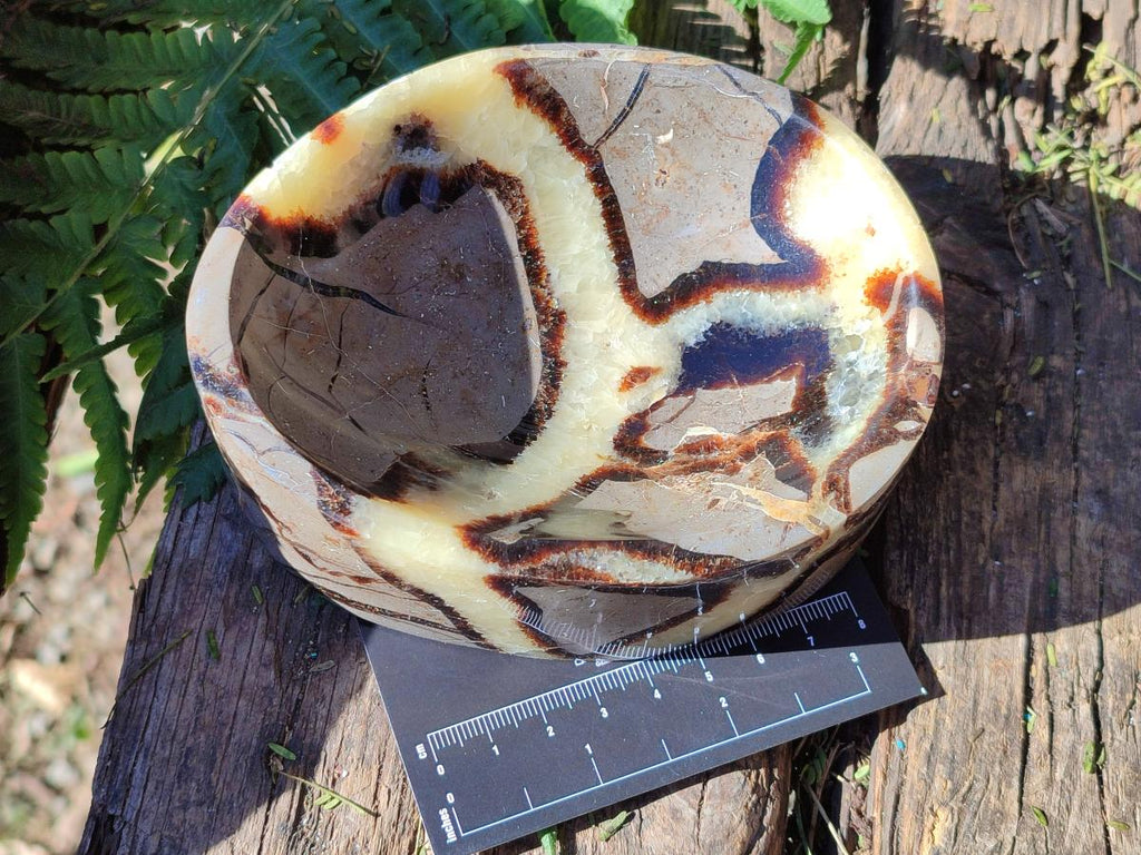 Polished Septerye Bowls x 2 From Mahajanga, Madagascar