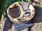 Polished Septerye Bowls x 2 From Mahajanga, Madagascar