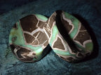Polished Septerye Bowls x 2 From Mahajanga, Madagascar