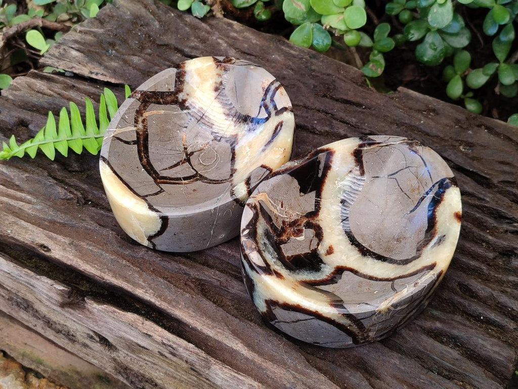 Polished Septerye Bowls x 2 From Mahajanga, Madagascar