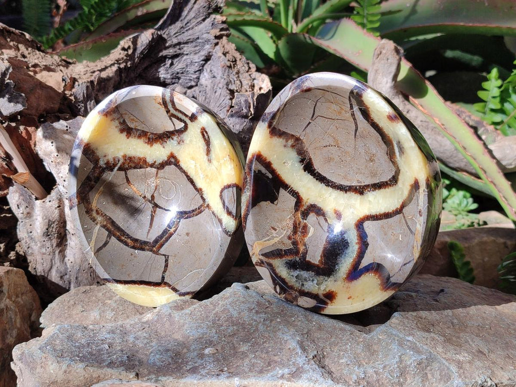 Polished Septerye Bowls x 2 From Mahajanga, Madagascar