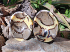 Polished Septerye Bowls x 2 From Mahajanga, Madagascar