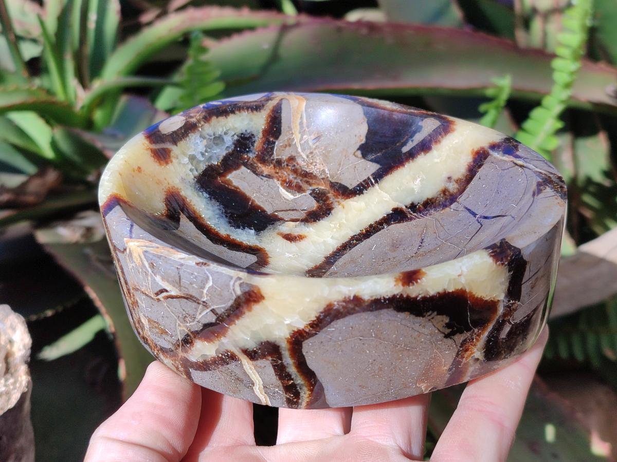 Polished Septerye Bowls x 2 From Mahajanga, Madagascar