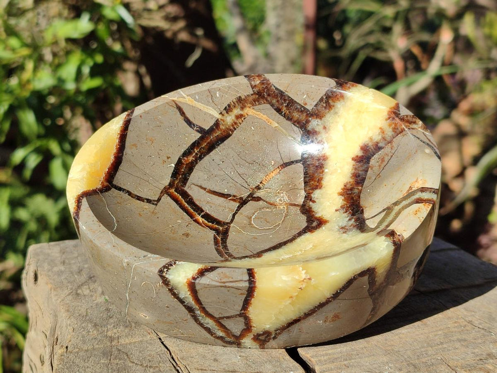 Polished Septerye Bowls x 2 From Mahajanga, Madagascar