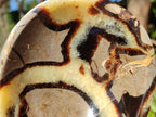 Polished Septerye Bowls x 2 From Mahajanga, Madagascar