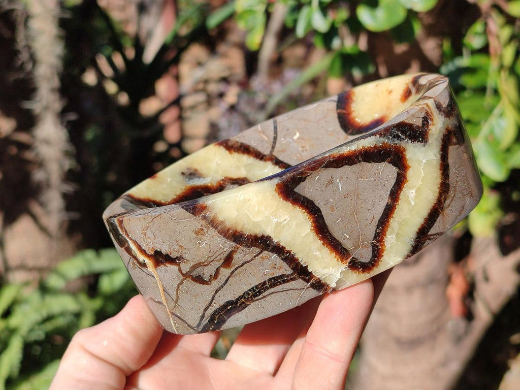 Polished Septerye Bowls x 2 From Mahajanga, Madagascar