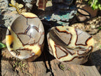 Polished Septerye Bowls x 2 From Mahajanga, Madagascar