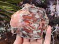 Polished Red Podocarpus Petrified Wood Slices x 17 From Marovoay, Madagascar