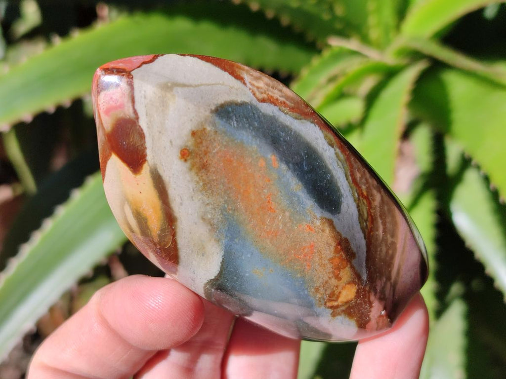 Polished Polychrome Jasper Flames x 12 From Androka, Madagascar