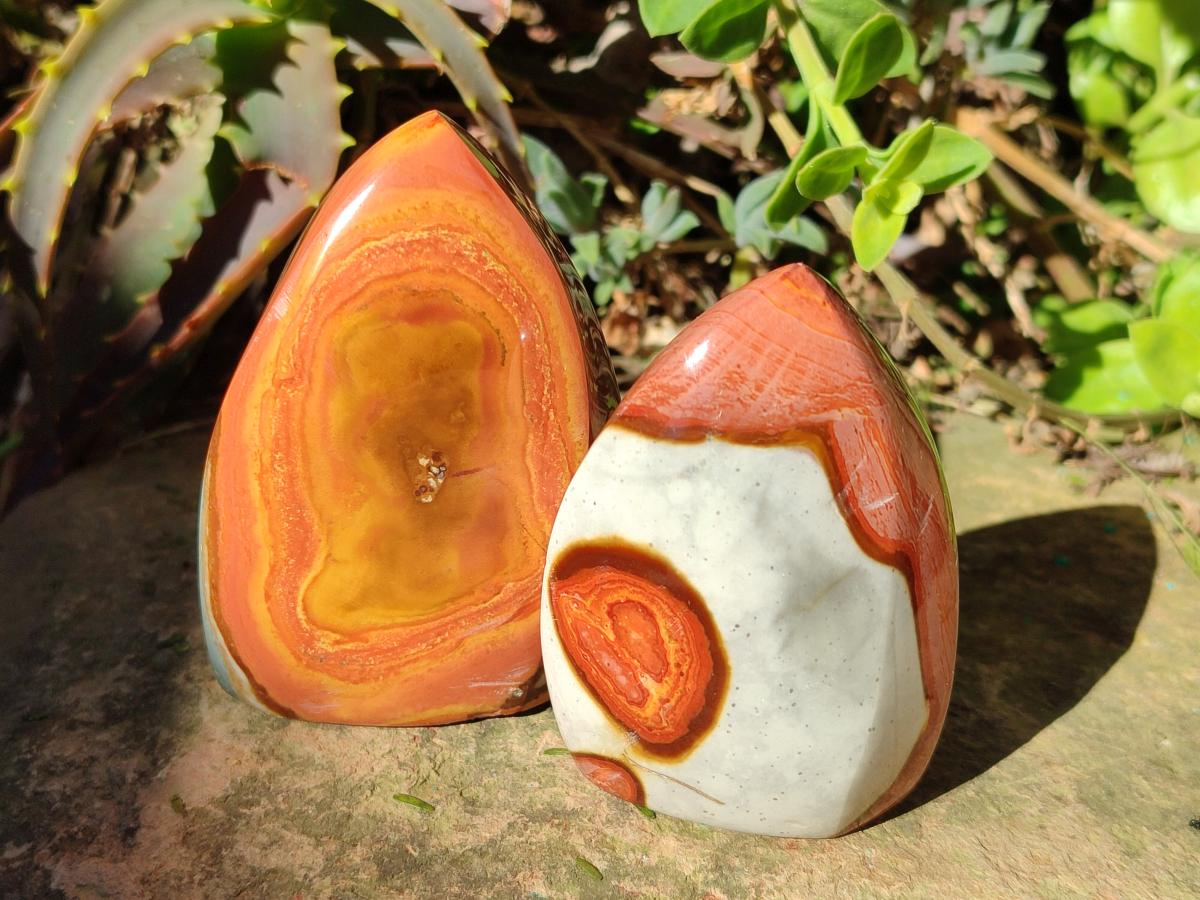 Polished Polychrome Jasper Flames x 12 From Androka, Madagascar