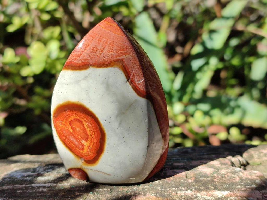 Polished Polychrome Jasper Flames x 12 From Androka, Madagascar