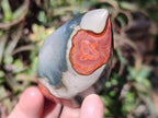 Polished Polychrome Jasper Flames x 12 From Androka, Madagascar