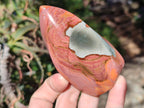 Polished Polychrome Jasper Flames x 12 From Androka, Madagascar