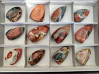 Polished Polychrome Jasper Flames x 12 From Androka, Madagascar
