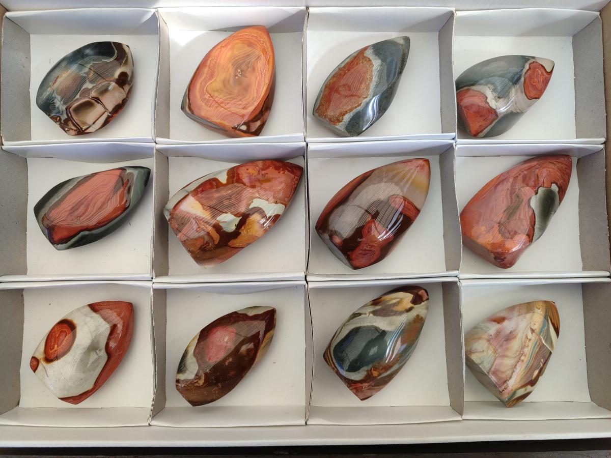 Polished Polychrome Jasper Flames x 12 From Androka, Madagascar
