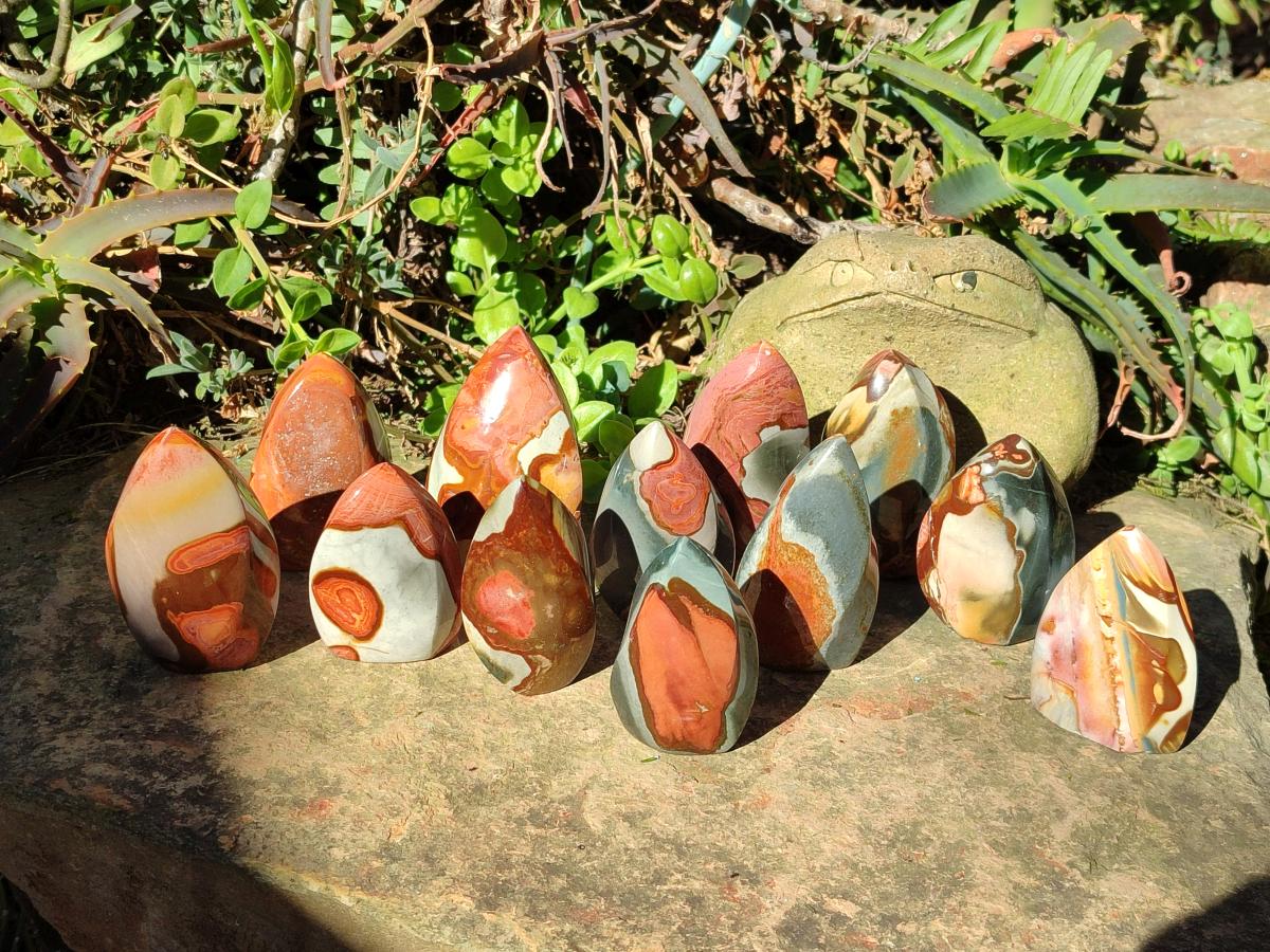Polished Polychrome Jasper Flames x 12 From Androka, Madagascar