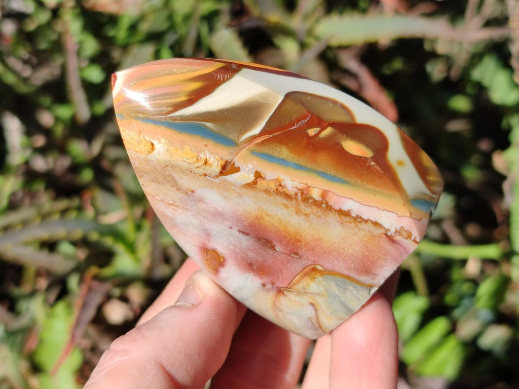 Polished Polychrome Jasper Flames x 12 From Androka, Madagascar