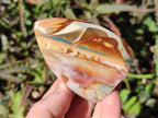 Polished Polychrome Jasper Flames x 12 From Androka, Madagascar