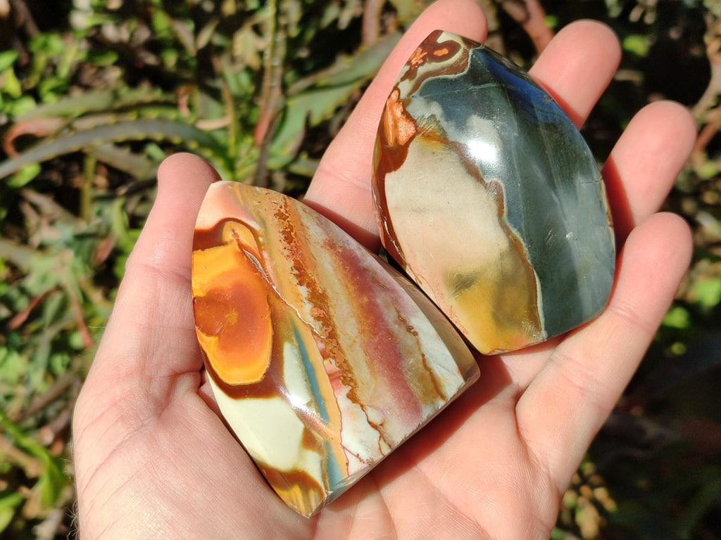 Polished Polychrome Jasper Flames x 12 From Androka, Madagascar