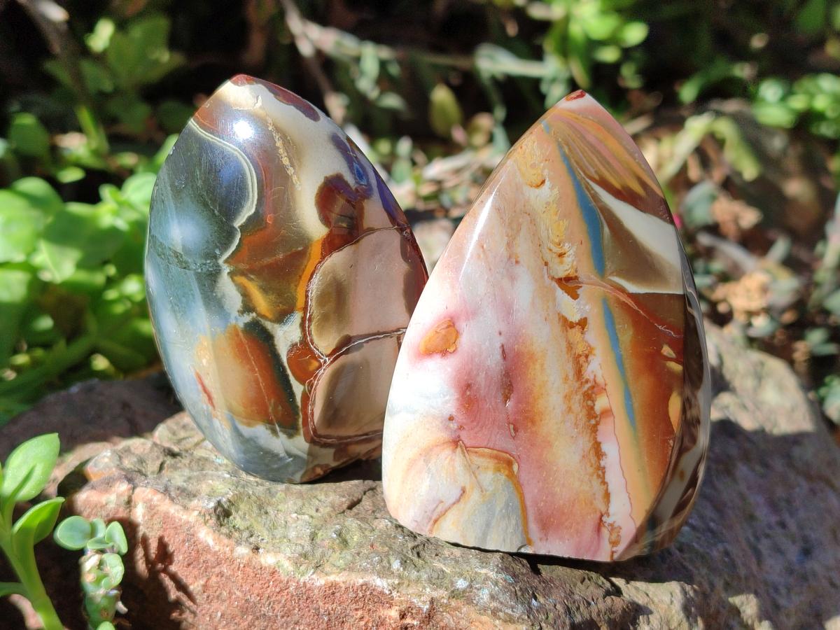 Polished Polychrome Jasper Flames x 12 From Androka, Madagascar
