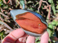 Polished Polychrome Jasper Flames x 12 From Androka, Madagascar