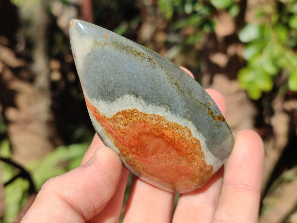 Polished Polychrome Jasper Flames x 12 From Androka, Madagascar