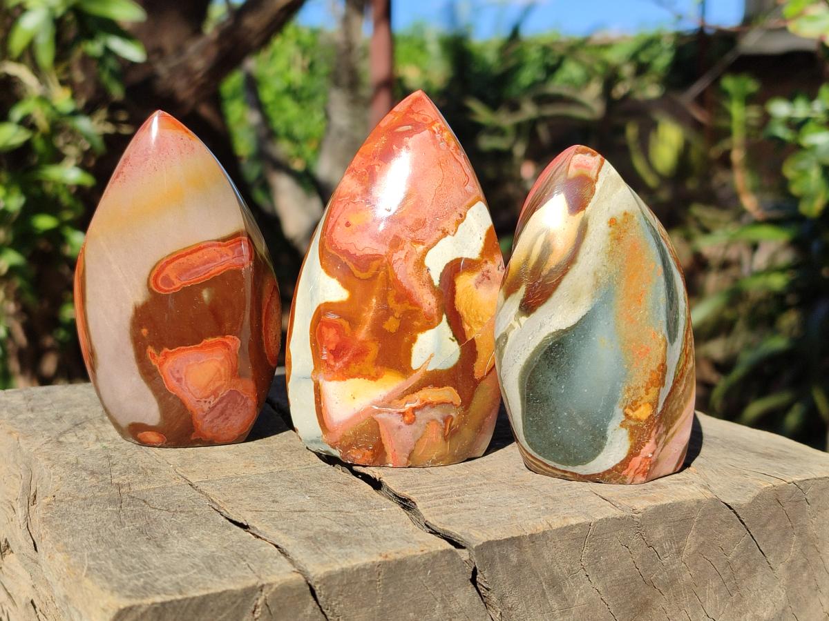 Polished Polychrome Jasper Flames x 12 From Androka, Madagascar