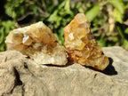 Natural Golden Limonite Quartz Crystal Clusters x 35 From Solwezi, Zambia