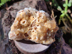 Natural Golden Limonite Quartz Crystal Clusters x 35 From Solwezi, Zambia