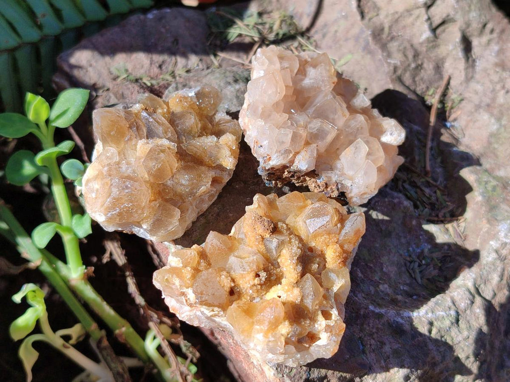 Natural Golden Limonite Quartz Crystal Clusters x 35 From Solwezi, Zambia