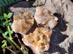 Natural Golden Limonite Quartz Crystal Clusters x 35 From Solwezi, Zambia