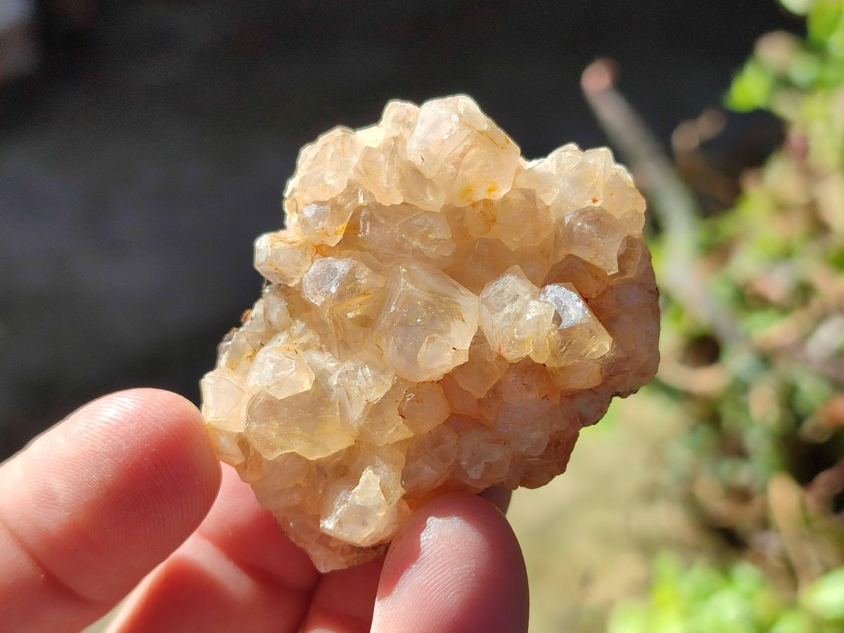Natural Golden Limonite Quartz Crystal Clusters x 35 From Solwezi, Zambia