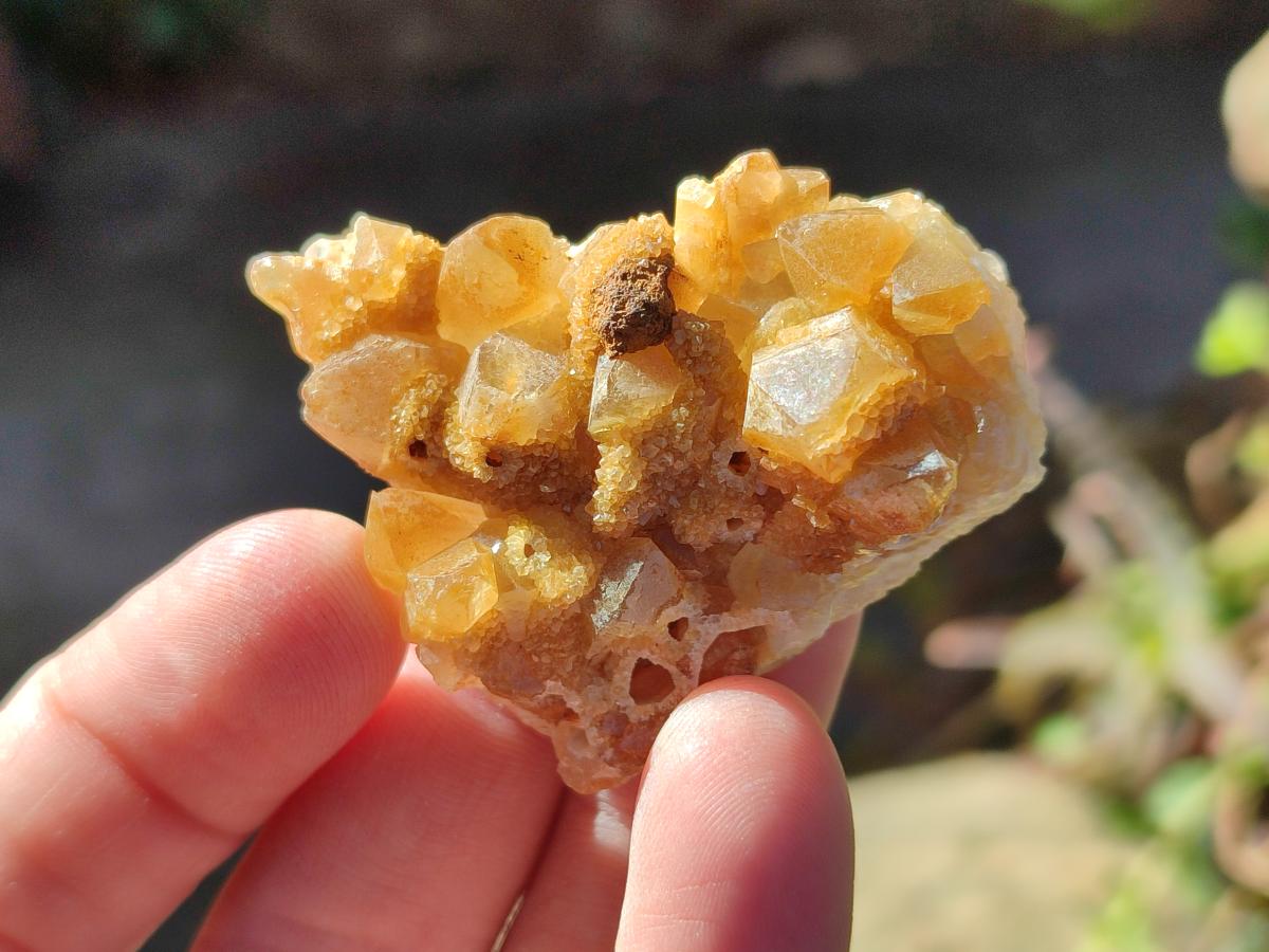 Natural Golden Limonite Quartz Crystal Clusters x 35 From Solwezi, Zambia