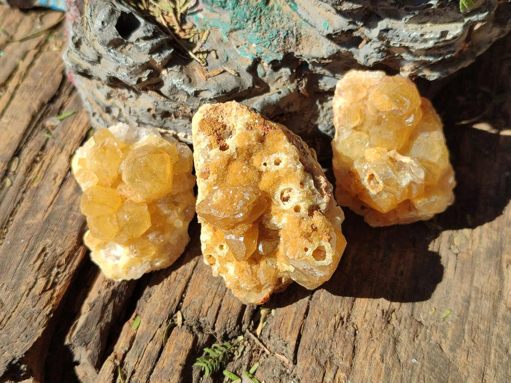 Natural Golden Limonite Quartz Crystal Clusters x 35 From Solwezi, Zambia