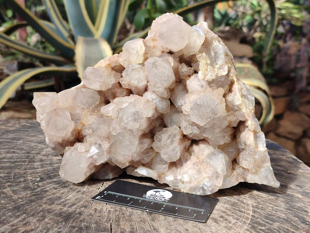 Natural Large Cascading White Phantom Smokey Luena Quartz Cluster x 1 From Luena, Congo