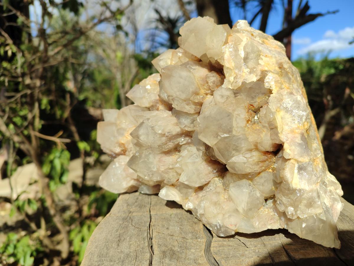 Natural Large Cascading White Phantom Smokey Luena Quartz Cluster x 1 From Luena, Congo