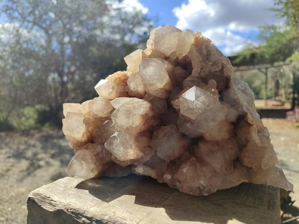 Natural Large Cascading White Phantom Smokey Luena Quartz Cluster x 1 From Luena, Congo