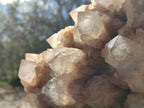 Natural Large Cascading White Phantom Smokey Luena Quartz Cluster x 1 From Luena, Congo
