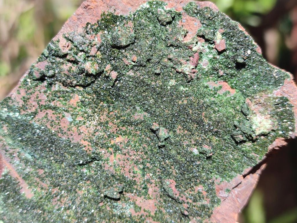 Natural Crystalline Libethenite Specimens on Dolomite Matrix x 4 From Shituru, Congo