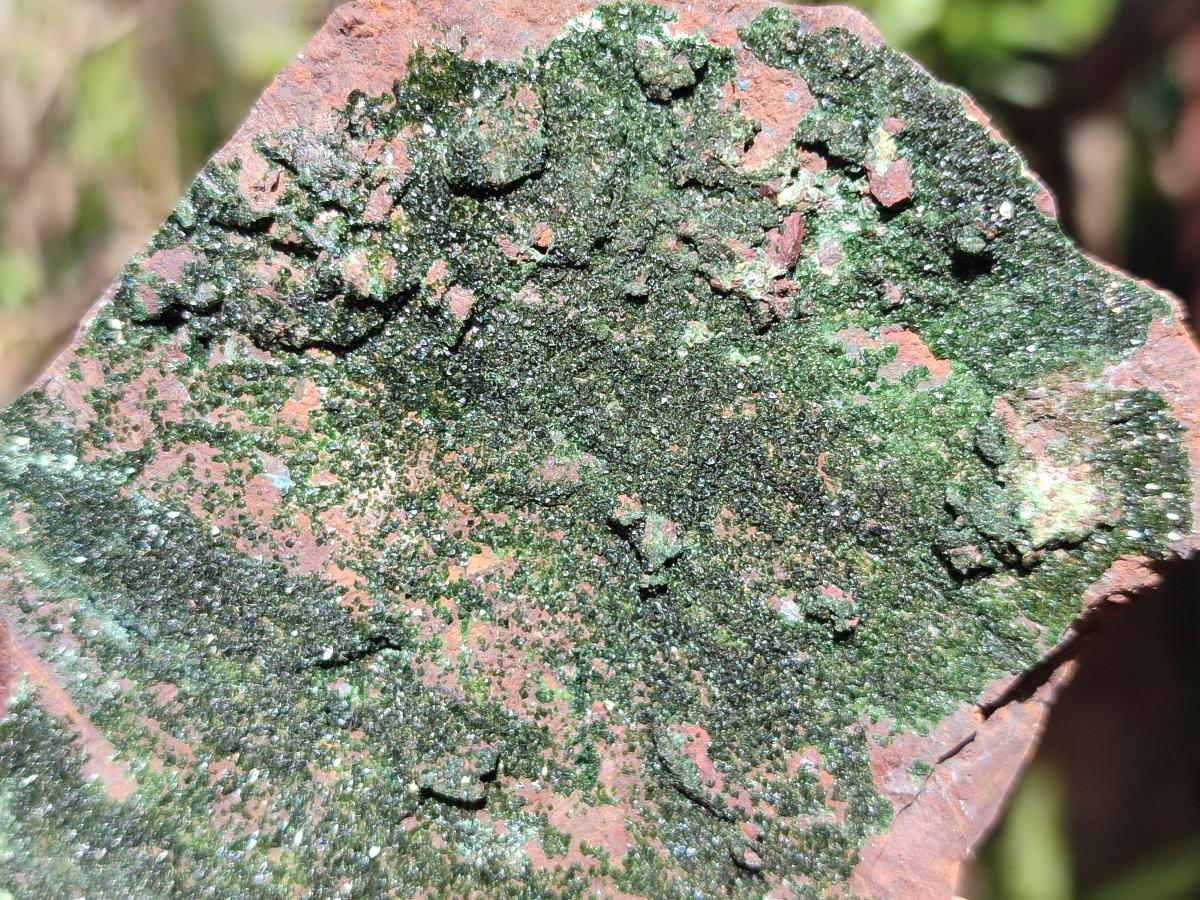Natural Crystalline Libethenite Specimens on Dolomite Matrix x 4 From Shituru, Congo