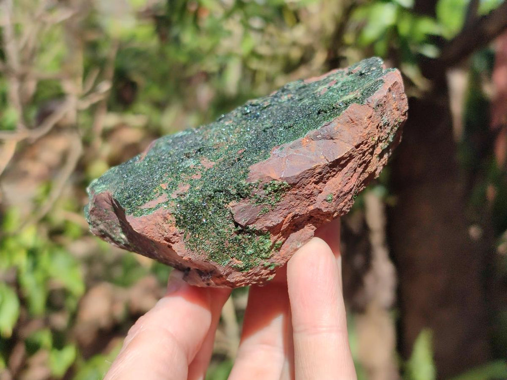 Natural Crystalline Libethenite Specimens on Dolomite Matrix x 4 From Shituru, Congo