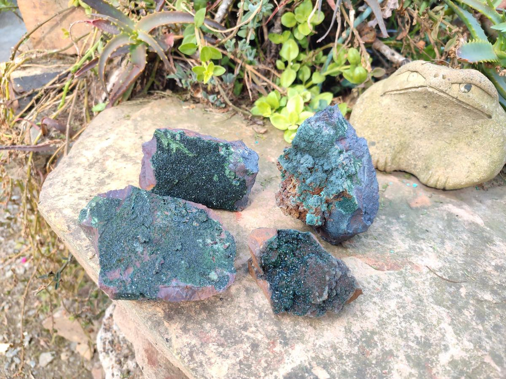 Natural Crystalline Libethenite Specimens on Dolomite Matrix x 4 From Shituru, Congo