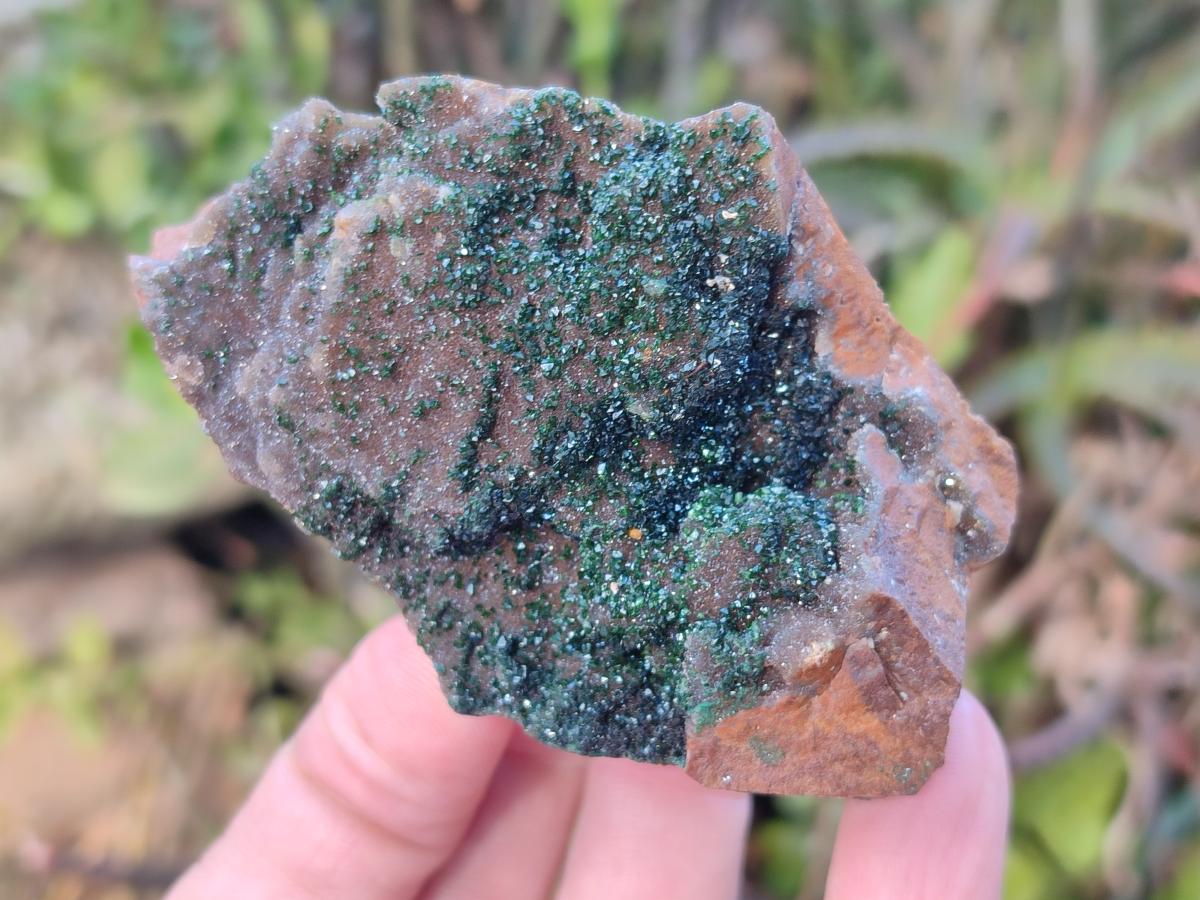 Natural Crystalline Libethenite Specimens on Dolomite Matrix x 4 From Shituru, Congo